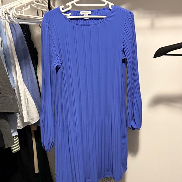 Carolina Belle Blue Pleated Dress - Picture 3 of 3